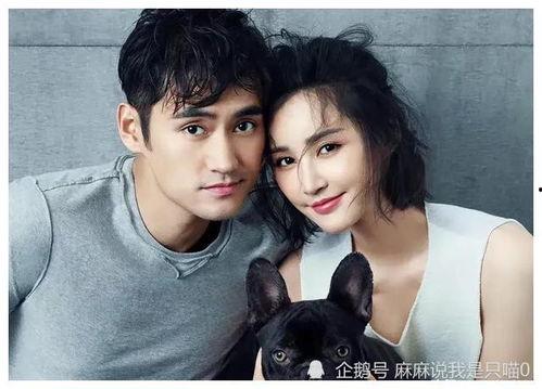 娱乐圈吃瓜爆料小徐徐,揭秘娱乐圈背后的秘密与真相